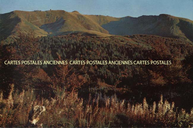 Cartes postales anciennes > CARTES POSTALES > carte postale ancienne > cartes-postales-ancienne.com Auvergne rhone alpes Allier Vichy