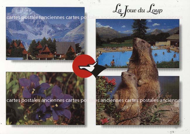 Cartes postales anciennes > CARTES POSTALES > carte postale ancienne > cartes-postales-ancienne.com Provence alpes cote d'azur Laye