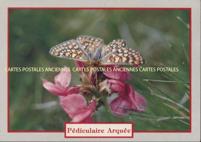 Cartes postales anciennes > CARTES POSTALES > carte postale ancienne > cartes-postales-ancienne.com Provence alpes cote d'azur Briancon