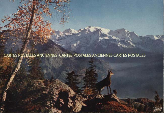 Cartes postales anciennes > CARTES POSTALES > carte postale ancienne > cartes-postales-ancienne.com Provence alpes cote d'azur Briancon