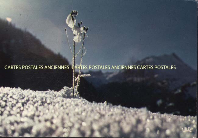 Cartes postales anciennes > CARTES POSTALES > carte postale ancienne > cartes-postales-ancienne.com Provence alpes cote d'azur Embrun