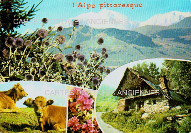 Cartes postales anciennes > CARTES POSTALES > carte postale ancienne > cartes-postales-ancienne.com Provence alpes cote d'azur La Grave