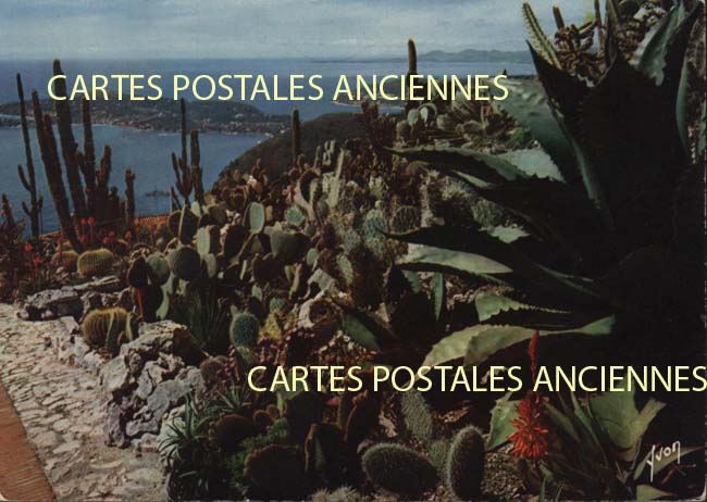 Cartes postales anciennes > CARTES POSTALES > carte postale ancienne > cartes-postales-ancienne.com Provence alpes cote d'azur Eze