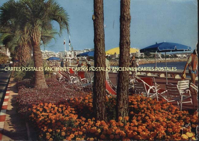 Cartes postales anciennes > CARTES POSTALES > carte postale ancienne > cartes-postales-ancienne.com Provence alpes cote d'azur Cannes