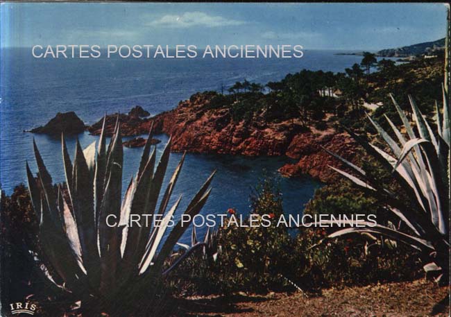 Cartes postales anciennes > CARTES POSTALES > carte postale ancienne > cartes-postales-ancienne.com Provence alpes cote d'azur Nice