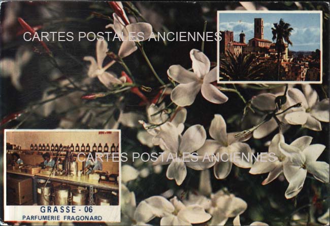 Cartes postales anciennes > CARTES POSTALES > carte postale ancienne > cartes-postales-ancienne.com Alpes maritimes 06 Grasse