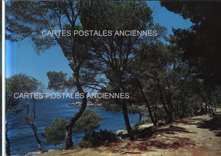 Cartes postales anciennes > CARTES POSTALES > carte postale ancienne > cartes-postales-ancienne.com Provence alpes cote d'azur Alpes maritimes Bandol