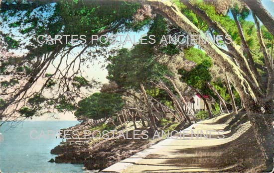 Cartes postales anciennes > CARTES POSTALES > carte postale ancienne > cartes-postales-ancienne.com Provence alpes cote d'azur Alpes maritimes Menton