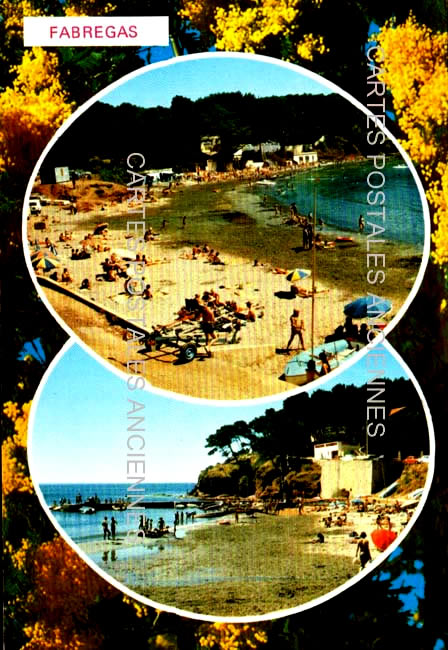 Cartes postales anciennes > CARTES POSTALES > carte postale ancienne > cartes-postales-ancienne.com Provence alpes cote d'azur Alpes maritimes La Seyne Sur Mer