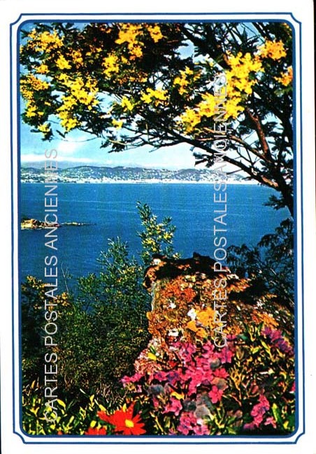 Cartes postales anciennes > CARTES POSTALES > carte postale ancienne > cartes-postales-ancienne.com Provence alpes cote d'azur Alpes maritimes Nice