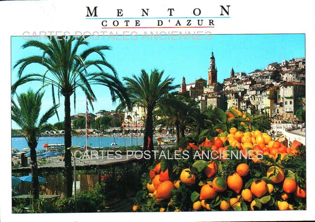 Cartes postales anciennes > CARTES POSTALES > carte postale ancienne > cartes-postales-ancienne.com Provence alpes cote d'azur Alpes maritimes Menton