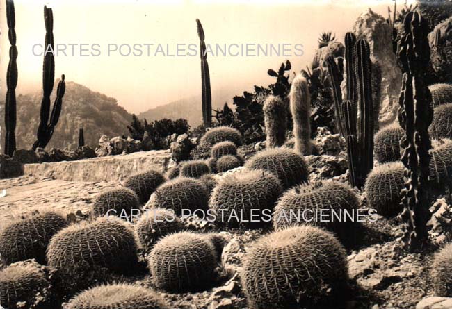 Cartes postales anciennes > CARTES POSTALES > carte postale ancienne > cartes-postales-ancienne.com Provence alpes cote d'azur Alpes maritimes Eze