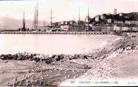 Cartes postales anciennes > CARTES POSTALES > carte postale ancienne > cartes-postales-ancienne.com Provence alpes cote d'azur Alpes maritimes Cannes