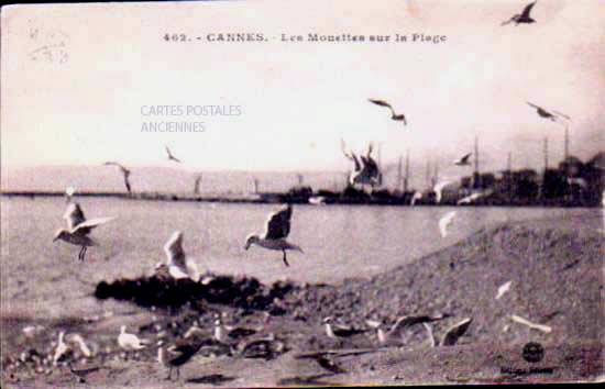 Cartes postales anciennes > CARTES POSTALES > carte postale ancienne > cartes-postales-ancienne.com Provence alpes cote d'azur Alpes maritimes Cannes