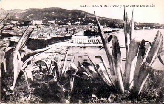 Cartes postales anciennes > CARTES POSTALES > carte postale ancienne > cartes-postales-ancienne.com Provence alpes cote d'azur Alpes maritimes Cannes