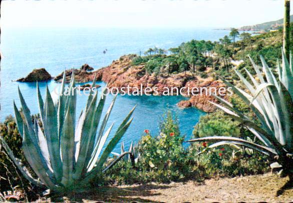 Cartes postales anciennes > CARTES POSTALES > carte postale ancienne > cartes-postales-ancienne.com Provence alpes cote d'azur Nice