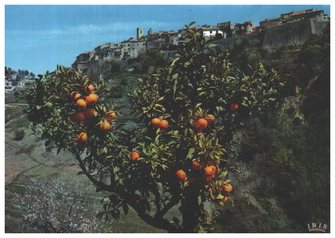 Cartes postales anciennes > CARTES POSTALES > carte postale ancienne > cartes-postales-ancienne.com Provence alpes cote d'azur Saint Paul