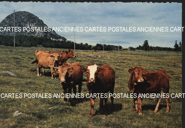 Cartes postales anciennes > CARTES POSTALES > carte postale ancienne > cartes-postales-ancienne.com Auvergne rhone alpes Ardeche Sainte Eulalie