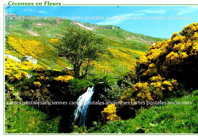 Cartes postales anciennes > CARTES POSTALES > carte postale ancienne > cartes-postales-ancienne.com Auvergne rhone alpes Ardeche