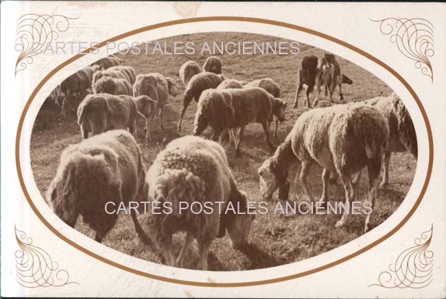 Cartes postales anciennes > CARTES POSTALES > carte postale ancienne > cartes-postales-ancienne.com Auvergne rhone alpes Ardeche Lalouvesc