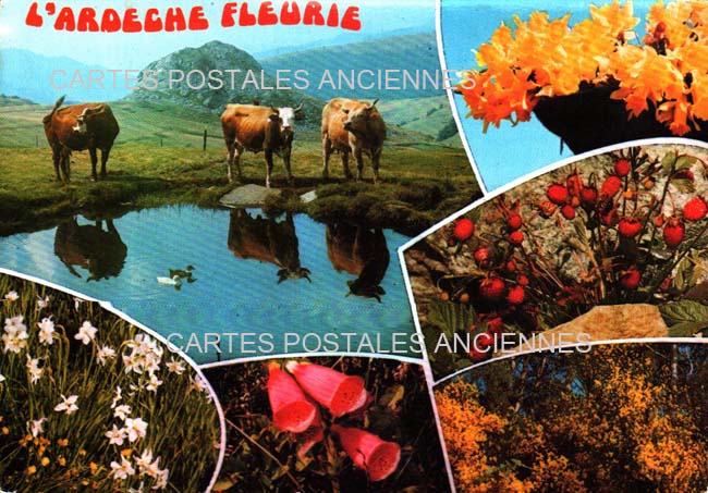 Cartes postales anciennes > CARTES POSTALES > carte postale ancienne > cartes-postales-ancienne.com Auvergne rhone alpes Ardeche Saint Martial