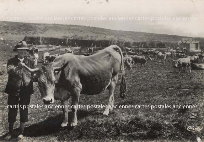 Cartes postales anciennes > CARTES POSTALES > carte postale ancienne > cartes-postales-ancienne.com Occitanie