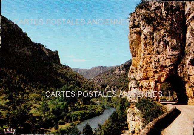 Cartes postales anciennes > CARTES POSTALES > carte postale ancienne > cartes-postales-ancienne.com Occitanie Montrosier