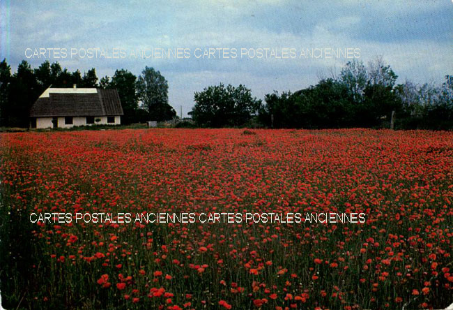 Cartes postales anciennes > CARTES POSTALES > carte postale ancienne > cartes-postales-ancienne.com Occitanie Gard