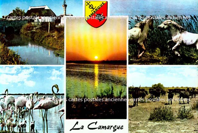 Cartes postales anciennes > CARTES POSTALES > carte postale ancienne > cartes-postales-ancienne.com Provence alpes cote d'azur Bouches du rhone