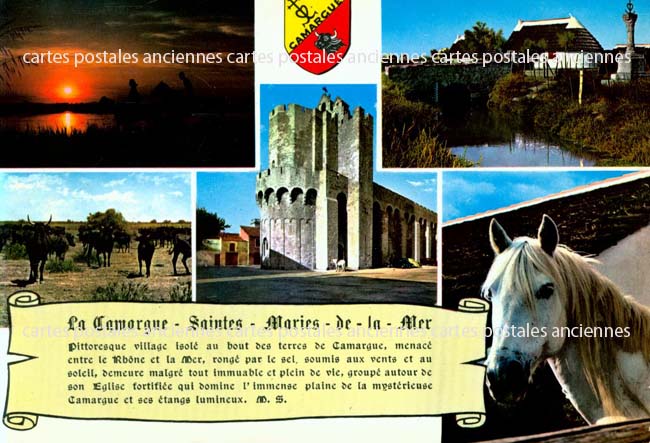 Cartes postales anciennes > CARTES POSTALES > carte postale ancienne > cartes-postales-ancienne.com Provence alpes cote d'azur Bouches du rhone Saintes Maries De La Mer