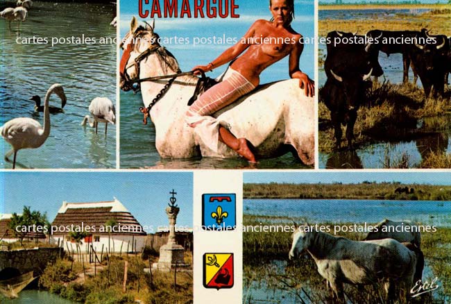 Cartes postales anciennes > CARTES POSTALES > carte postale ancienne > cartes-postales-ancienne.com Provence alpes cote d'azur Bouches du rhone