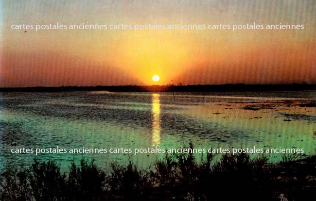 Cartes postales anciennes > CARTES POSTALES > carte postale ancienne > cartes-postales-ancienne.com Provence alpes cote d'azur Bouches du rhone