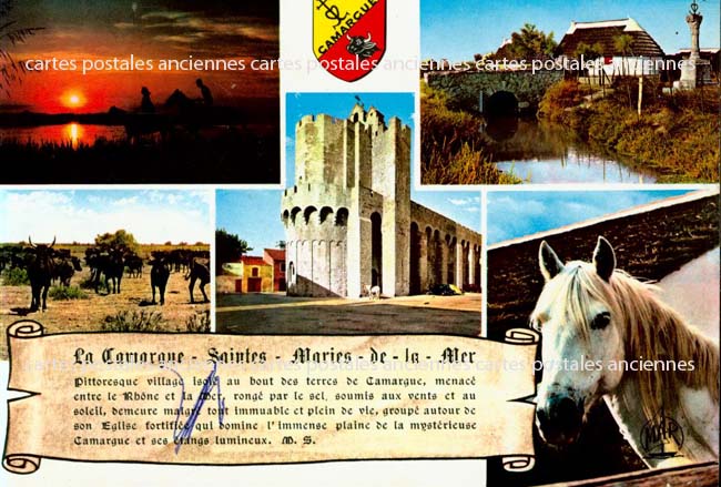 Cartes postales anciennes > CARTES POSTALES > carte postale ancienne > cartes-postales-ancienne.com Provence alpes cote d'azur Bouches du rhone Saintes Maries De La Mer