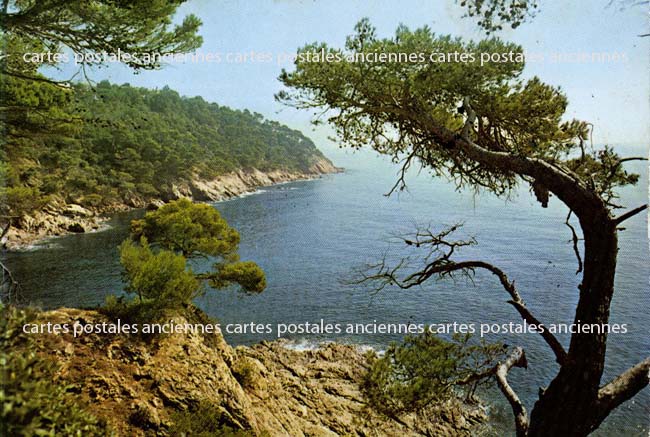 Cartes postales anciennes > CARTES POSTALES > carte postale ancienne > cartes-postales-ancienne.com Provence alpes cote d'azur Bouches du rhone