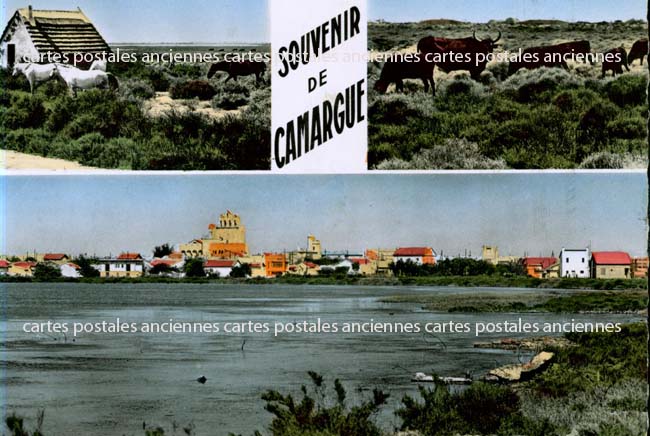 Cartes postales anciennes > CARTES POSTALES > carte postale ancienne > cartes-postales-ancienne.com Provence alpes cote d'azur Bouches du rhone