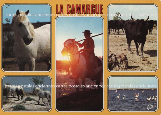 Cartes postales anciennes > CARTES POSTALES > carte postale ancienne > cartes-postales-ancienne.com Provence alpes cote d'azur Bouches du rhone Saintes Maries De La Mer