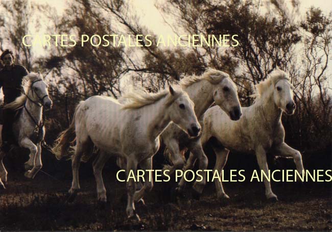 Cartes postales anciennes > CARTES POSTALES > carte postale ancienne > cartes-postales-ancienne.com Provence alpes cote d'azur Bouches du rhone Arles