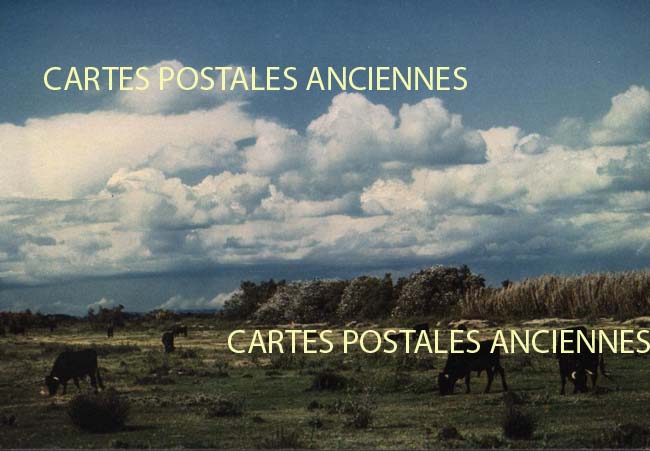 Cartes postales anciennes > CARTES POSTALES > carte postale ancienne > cartes-postales-ancienne.com Provence alpes cote d'azur Bouches du rhone Arles