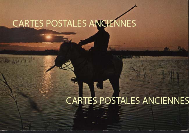 Cartes postales anciennes > CARTES POSTALES > carte postale ancienne > cartes-postales-ancienne.com Provence alpes cote d'azur Bouches du rhone Saintes Maries De La Mer