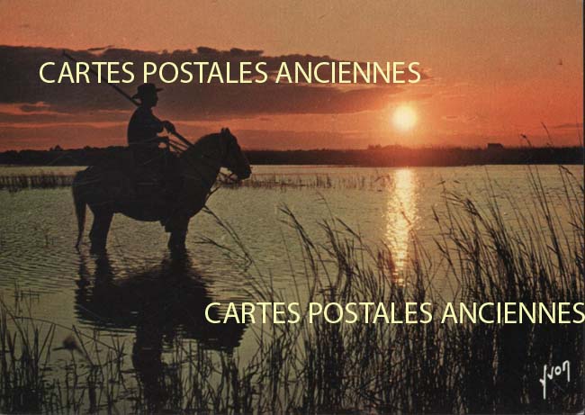 Cartes postales anciennes > CARTES POSTALES > carte postale ancienne > cartes-postales-ancienne.com Provence alpes cote d'azur Bouches du rhone Maussanne Les Alpilles