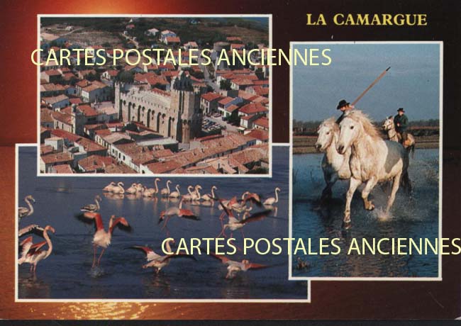 Cartes postales anciennes > CARTES POSTALES > carte postale ancienne > cartes-postales-ancienne.com Provence alpes cote d'azur Bouches du rhone Saintes Maries De La Mer