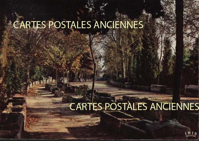 Cartes postales anciennes > CARTES POSTALES > carte postale ancienne > cartes-postales-ancienne.com Provence alpes cote d'azur Bouches du rhone Arles