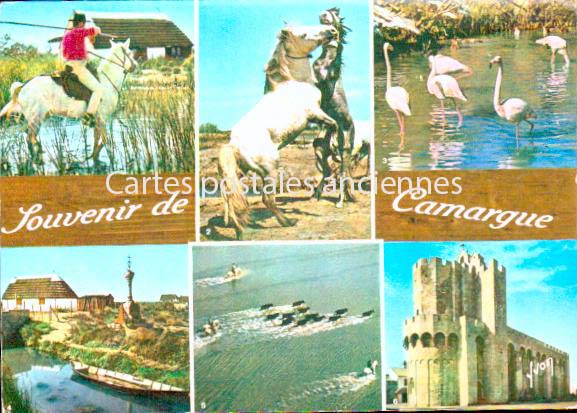 Cartes postales anciennes > CARTES POSTALES > carte postale ancienne > cartes-postales-ancienne.com Provence alpes cote d'azur Saintes Maries De La Mer