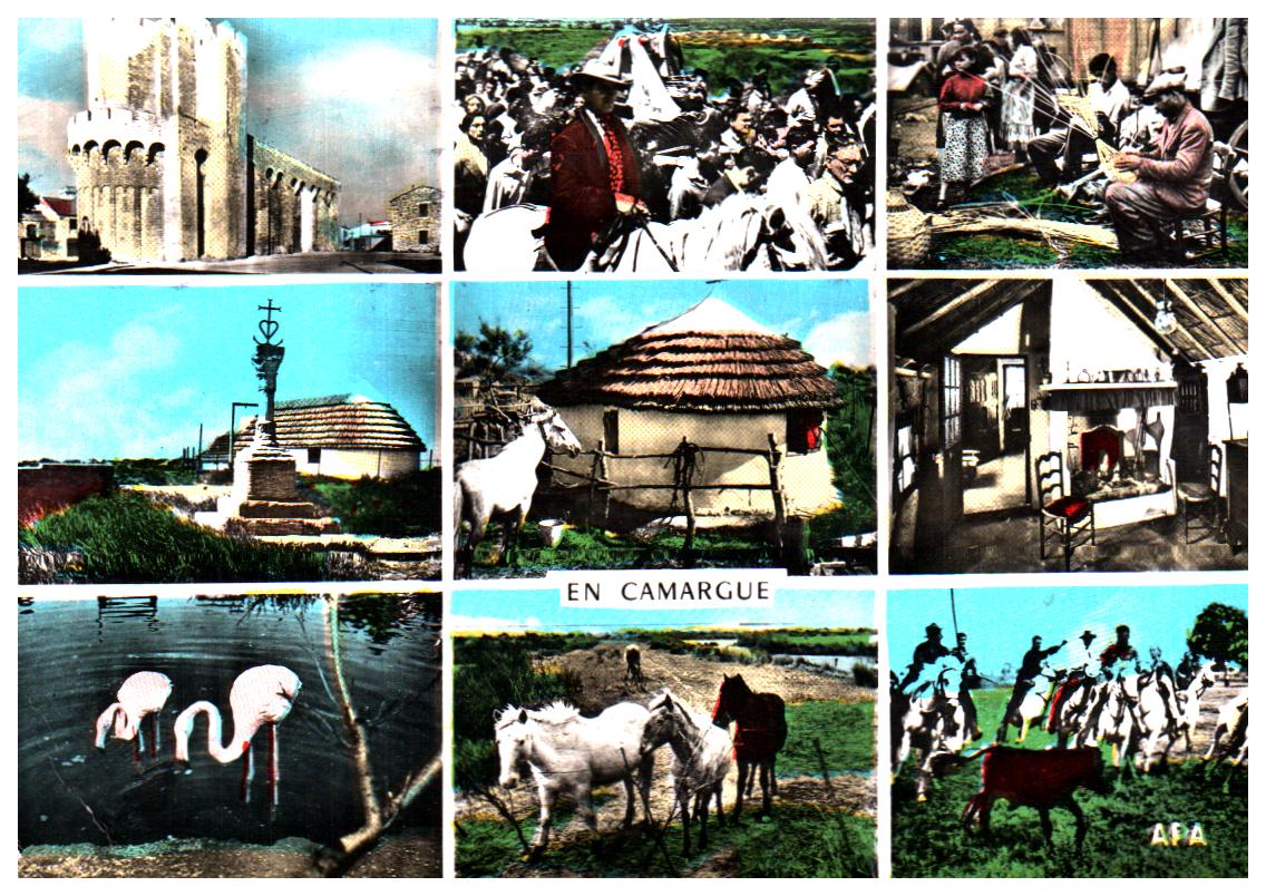 Cartes postales anciennes > CARTES POSTALES > carte postale ancienne > cartes-postales-ancienne.com  Saintes Maries De La Mer