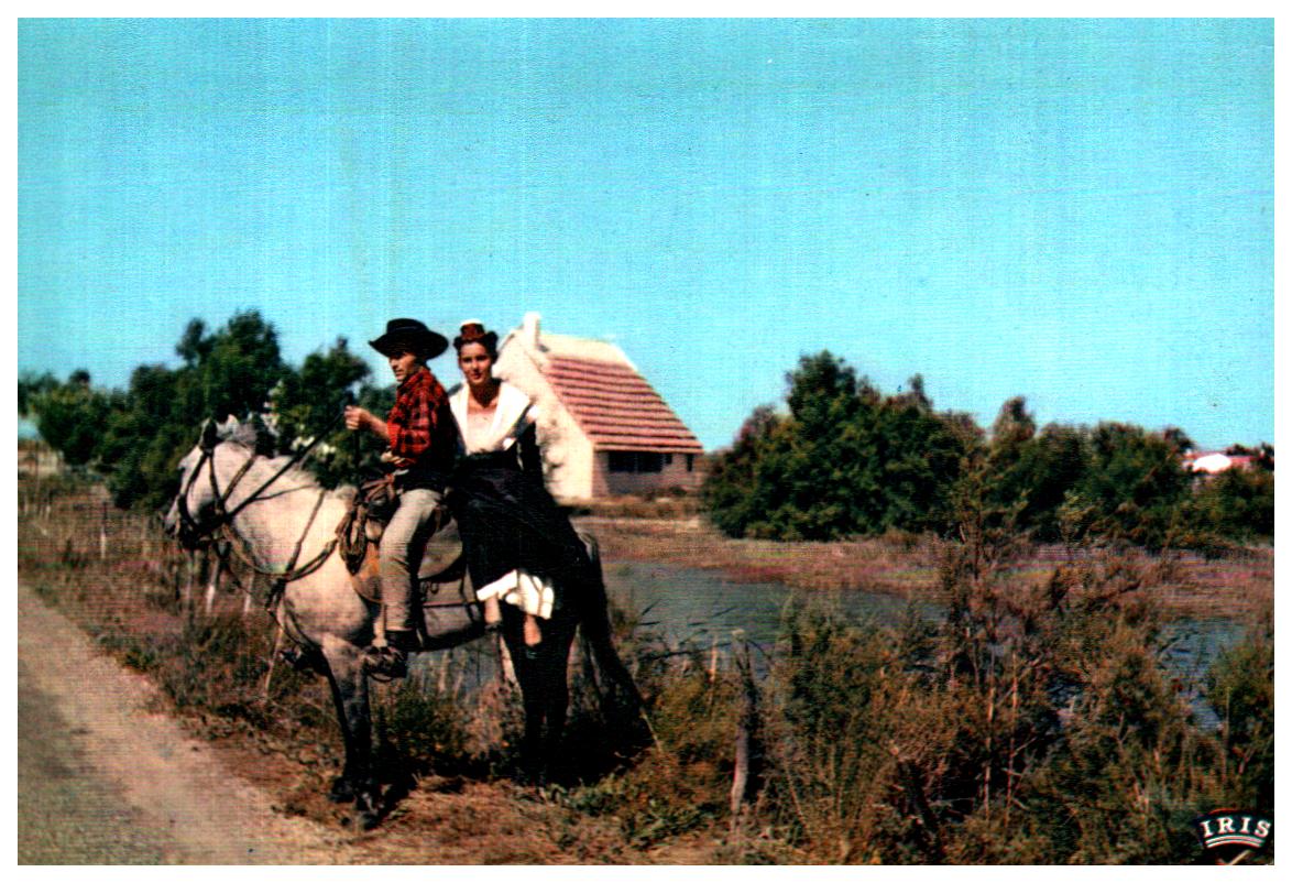 Cartes postales anciennes > CARTES POSTALES > carte postale ancienne > cartes-postales-ancienne.com  Saintes Maries De La Mer