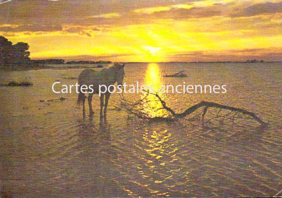 Cartes postales anciennes > CARTES POSTALES > carte postale ancienne > cartes-postales-ancienne.com Provence alpes cote d'azur Saintes Maries De La Mer