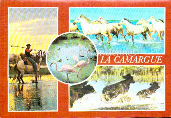 Cartes postales anciennes > CARTES POSTALES > carte postale ancienne > cartes-postales-ancienne.com Provence alpes cote d'azur Saintes Maries De La Mer