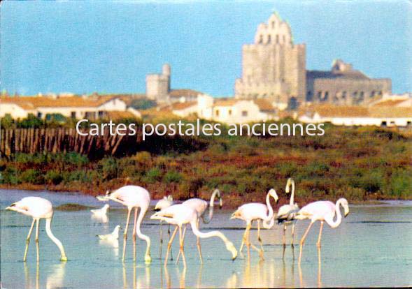 Cartes postales anciennes > CARTES POSTALES > carte postale ancienne > cartes-postales-ancienne.com Provence alpes cote d'azur Saintes Maries De La Mer