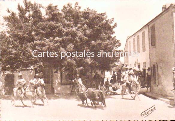 Cartes postales anciennes > CARTES POSTALES > carte postale ancienne > cartes-postales-ancienne.com  Saintes Maries De La Mer