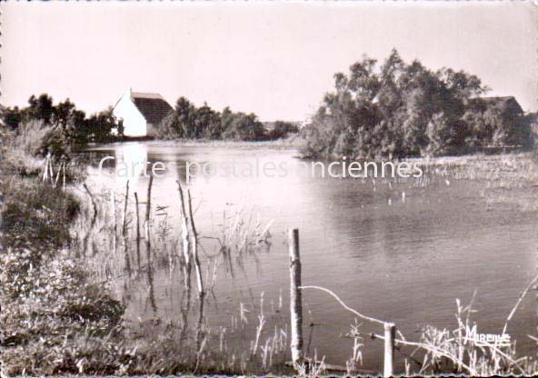 Cartes postales anciennes > CARTES POSTALES > carte postale ancienne > cartes-postales-ancienne.com  Saintes Maries De La Mer